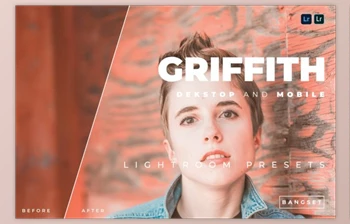 Download <span class='badge badge-warning'>Griffith</span> Desktop and Mobile Lightroom Preset by Bangset