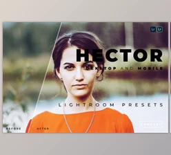 Download Hector Desktop and Mobile Lightroom Preset by Bangset