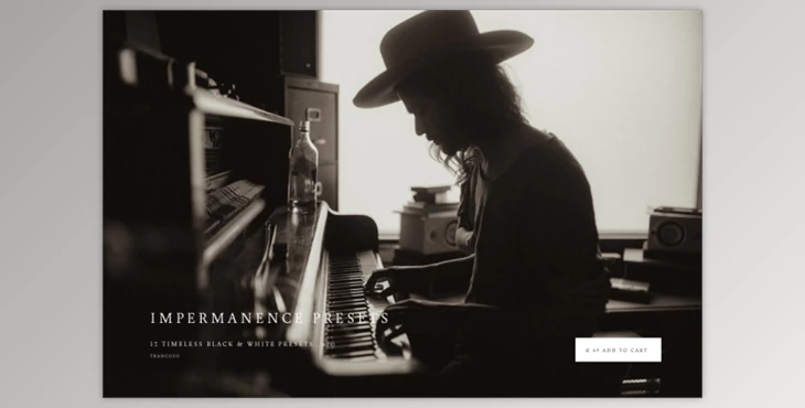 Download Meridian – Impermanence Presets by Mari Trancoso