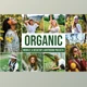 Download Organic Mobile and Desktop Lightroom Presets by Laksmita