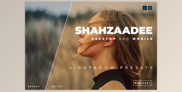 Download Shahzaadee Desktop and Mobile Lightroom Preset by Bangset