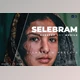 Download Selebgram Desktop and Mobile Lightroom Preset by Bangset
