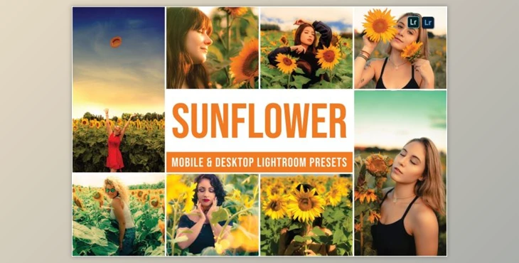 Download Sunflower Mobile and Desktop Lightroom Presets by Laksmita