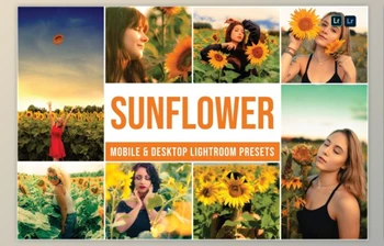 Download <span class='badge badge-warning'>Sunflower</span> Mobile and Desktop Lightroom Presets by Laksmita