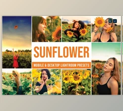 Download Sunflower Mobile and Desktop Lightroom Presets by Laksmita