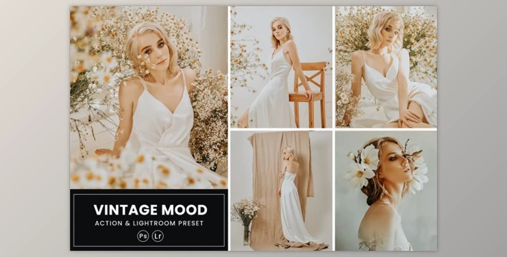 Download Vintage Mood Photoshop Action & Lightrom Presets by nmc2010