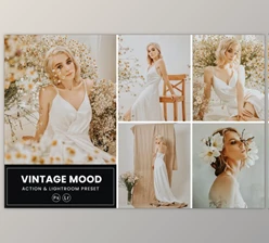 Download Vintage Mood Photoshop Action & Lightroom Presets by nmc2010