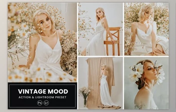 Download Vintage <span class='badge badge-warning'>Mood</span> Photoshop Action & Lightroom Presets by nmc2010