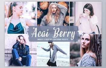Download Acai <span class='badge badge-warning'>Berry</span> Mobile & Desktop Lightroom Presets by creativetacos