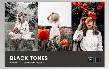 Download Black <span class='badge badge-warning'>Tones</span> Photoshop Action & Lightroom <span class='badge badge-warning'>Presets</span> by nmc2010