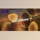 Download Exceptional Parallax Slideshow (Videohive 31739164) - PR Project