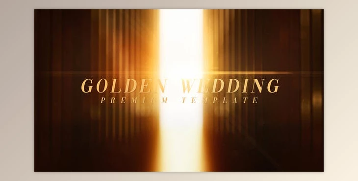 Download Golden Wedding (Videohive 32239227) - AE Project