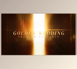 Download Golden Wedding (Videohive 32239227) - AE Project