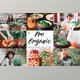 Download 10 Pro Organic Lightroom & Mobile Presets by 3Motional (Desk, Mob)