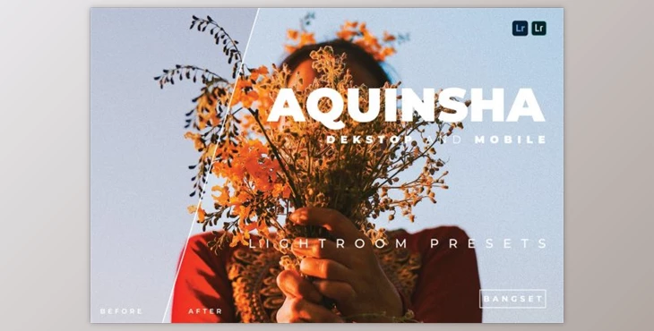 Download Aquinsha Desktop and Mobile Lightroom Preset by Bangset