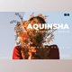 Download Aquinsha Desktop and Mobile Lightroom Preset by Bangset