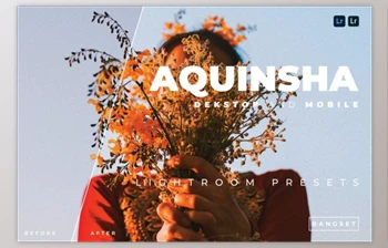 Download Aquinsha Desktop and Mobile Lightroom <span class='badge badge-warning'>Preset</span> by Bangset