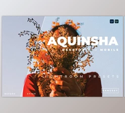 Download Aquinsha Desktop and Mobile Lightroom Preset by Bangset