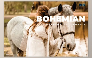Download Bohemian Desktop and Mobile Lightroom <span class='badge badge-warning'>Preset</span> by Bangset