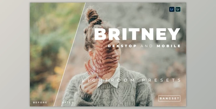 Download Britney Desktop and Mobile Lightroom Preset by Bangset