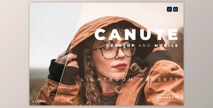 Download Canute Desktop and Mobile Lightroom Preset by Bangset