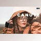 Download Canute Desktop and Mobile Lightroom Preset by Bangset