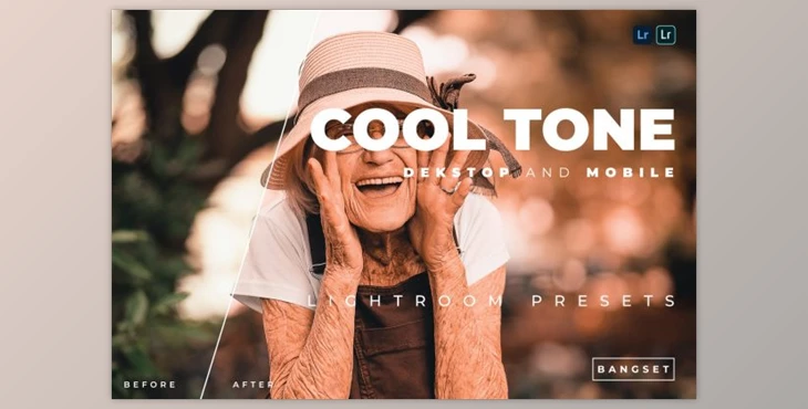 Download Cool Tone Desktop and Mobile Lightroom Preset by Bangset