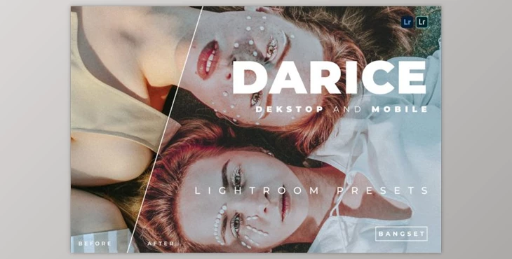 Download Darice Desktop and Mobile Lightroom Preset by Bangset