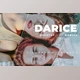 Download Darice Desktop and Mobile Lightroom Preset by Bangset