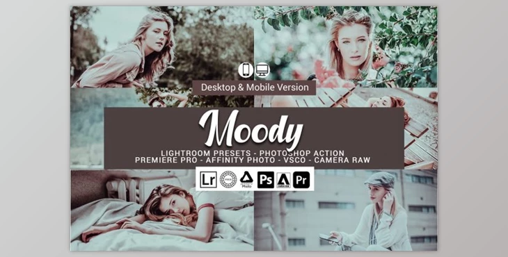 Download Moody Lightroom Presets and LUTs By DreamColor
