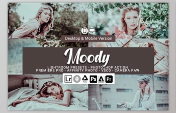 Download <span class='badge badge-warning'>Moody</span> <span class='badge badge-warning'>Lightroom</span> <span class='badge badge-warning'>Presets</span> and LUTs By DreamColor