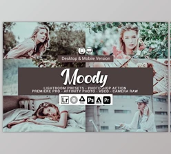 Download Moody Lightroom Presets and LUTs By DreamColor
