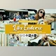 Download Like Endorse Lightroom Presets and LUTs CreativeMarket 5157307