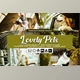 Download Lovely Pets Lightroom Presets and LUTs By DreamColor