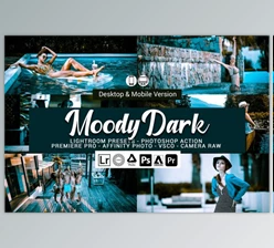 Download Moody Dark Lightroom Presets By DreamColor