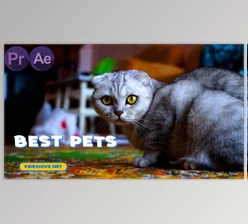 Download Pets Slideshow (Videohive 31777992)