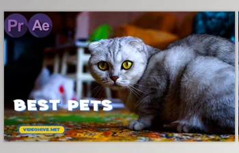 Download <span class='badge badge-warning'>Pets</span> Slideshow (Videohive 31777992)
