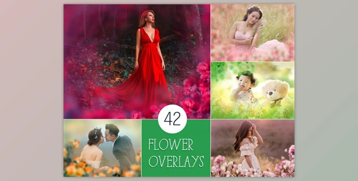 Download 42 Painted Flowers Photo Overlays
