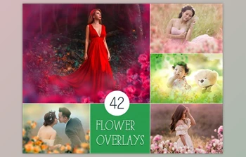 Download <span class='badge badge-warning'>42</span> Painted Flowers Photo Overlays