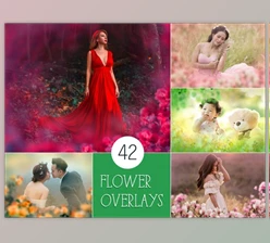 Download 42 Painted Flowers Photo Overlays