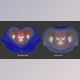 Download Mariussilaghi – Unwrap Pro 1.04 for 3ds max 9 – 2022
