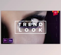 Download Modern Elegant Intro (Videohive 32273152) - PR Project