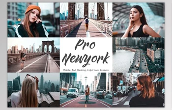 Download 20 Lightroom Presets Neo <span class='badge badge-warning'>New</span> York By EpicoMedia