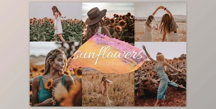 Download Sunflowers – Lightroom Presets Lr By Uno Creative Studio