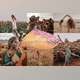Download Sunflowers – Lightroom Presets Lr By Uno Creative Studio