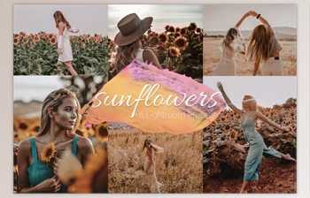 Download Sunflowers – Lightroom Presets Lr By Uno Creative <span class='badge badge-warning'>Studio</span>