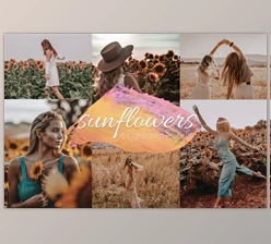 Download Sunflowers – Lightroom Presets Lr By Uno Creative Studio
