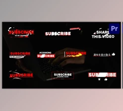 Download Stylish Subscribe Lower Thirds - Premiere Pro MOGRT (Videohive 32305920)