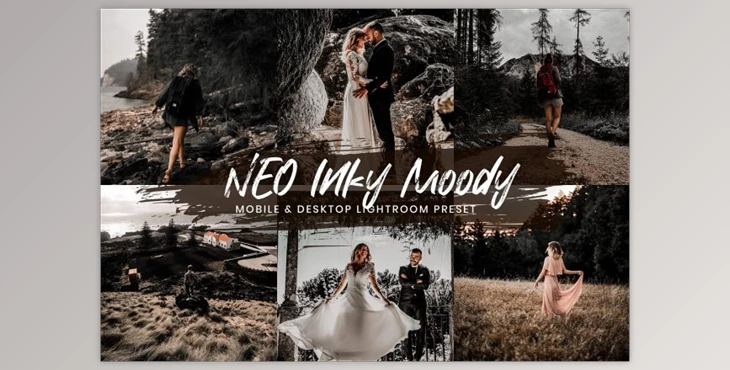 Download 15 Lightroom Presets Neo Inky Moody By EpicoMedia (Mob, Desk)