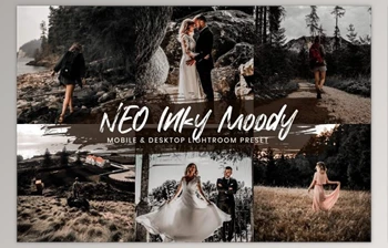 Download <span class='badge badge-warning'>15</span> <span class='badge badge-warning'>Lightroom</span> <span class='badge badge-warning'>Presets</span> Neo Inky Moody By EpicoMedia (Mob, Desk)